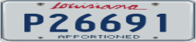 Truck License Plate