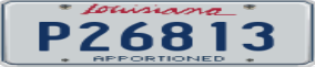 Truck License Plate