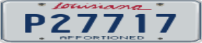 Truck License Plate