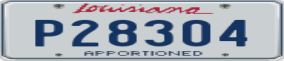 Truck License Plate