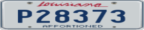 Truck License Plate