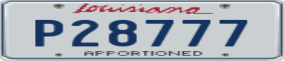 Truck License Plate