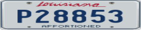 Truck License Plate