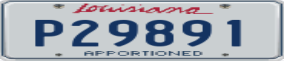 Truck License Plate