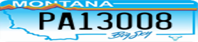 Truck License Plate