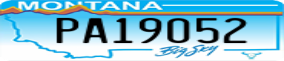 Truck License Plate