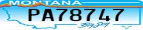Truck License Plate