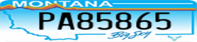 Truck License Plate