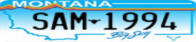 Truck License Plate