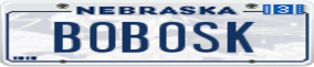Truck License Plate