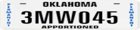 Truck License Plate