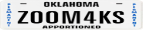 Truck License Plate