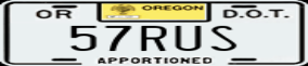 Truck License Plate