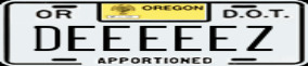 Truck License Plate