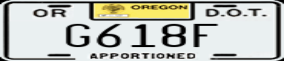 Truck License Plate