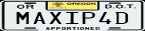 Truck License Plate