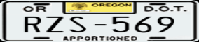 Truck License Plate