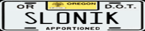 Truck License Plate