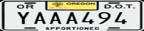 Truck License Plate