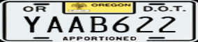 Truck License Plate