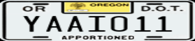 Truck License Plate