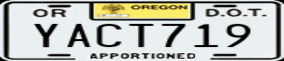 Truck License Plate