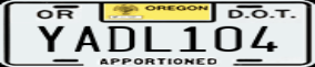 Truck License Plate