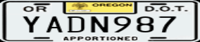 Truck License Plate