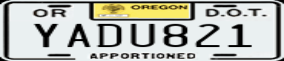 Truck License Plate