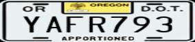 Truck License Plate