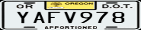 Truck License Plate