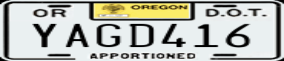 Truck License Plate