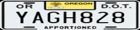 Truck License Plate