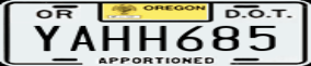 Truck License Plate