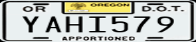 Truck License Plate