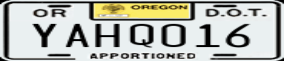 Truck License Plate