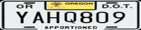 Truck License Plate