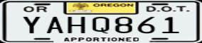 Truck License Plate