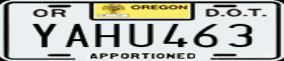 Truck License Plate