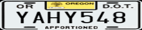 Truck License Plate