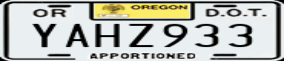 Truck License Plate