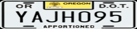 Truck License Plate