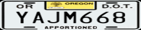 Truck License Plate