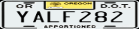 Truck License Plate