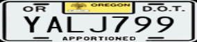 Truck License Plate