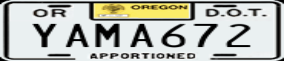 Truck License Plate