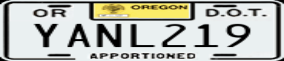 Truck License Plate