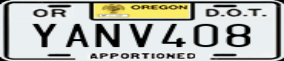 Truck License Plate