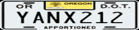 Truck License Plate