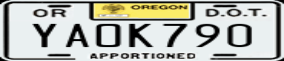 Truck License Plate